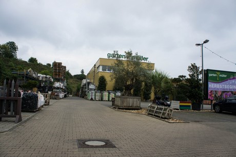 weiden