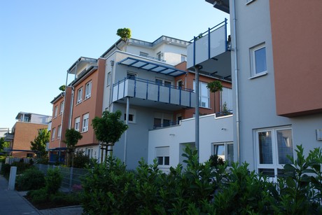 weiden