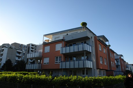 weiden