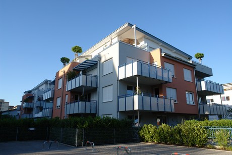weiden