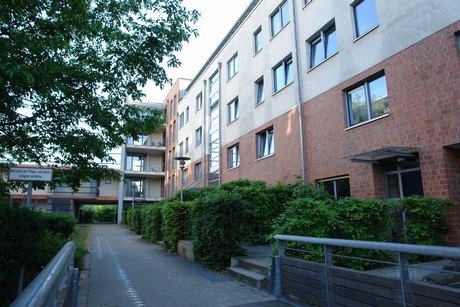 weiden