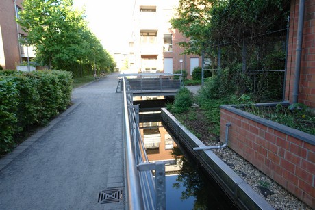 weiden