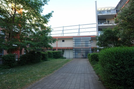 weiden