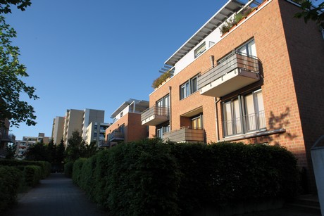 weiden