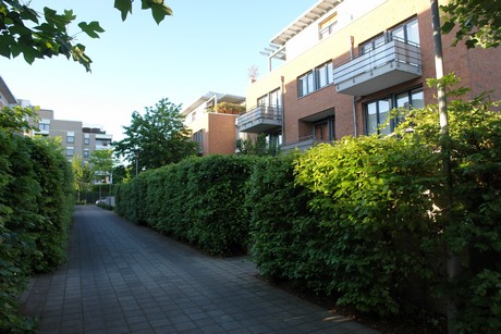 weiden
