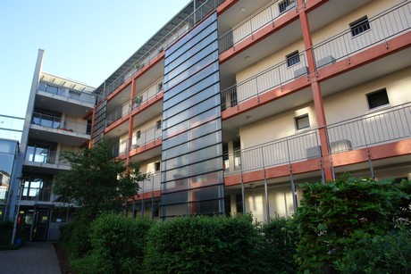 weiden
