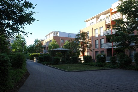 weiden