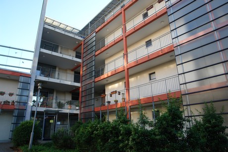 weiden