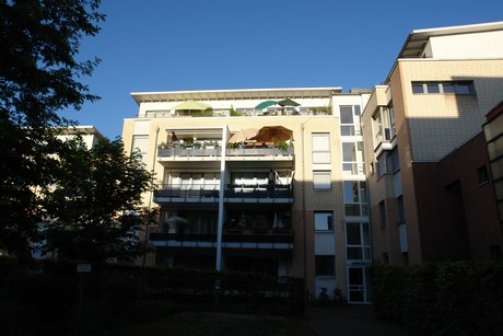 weiden