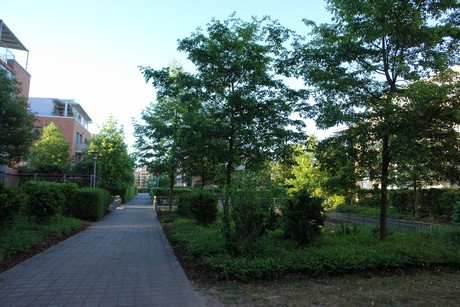 weiden
