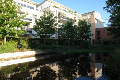 weiden