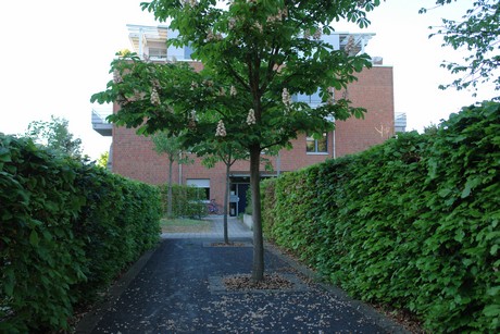 weiden