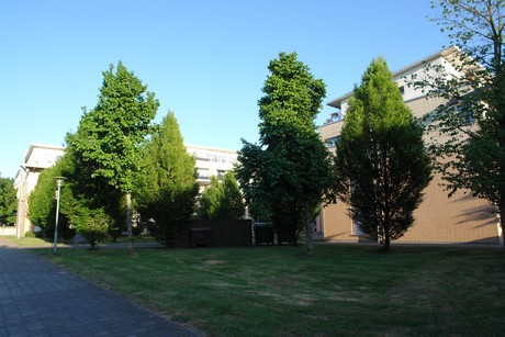 weiden