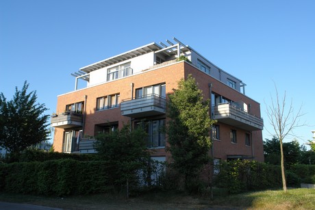 weiden