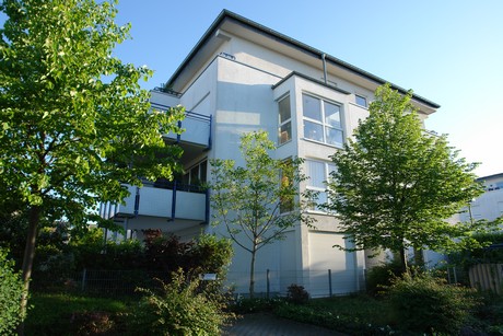 weiden