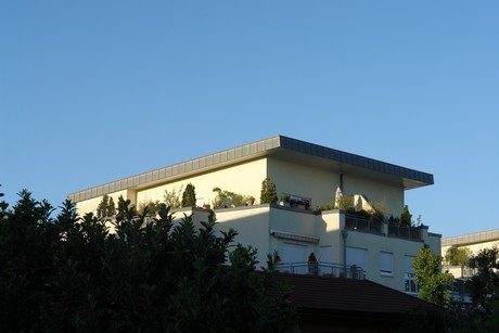 weiden