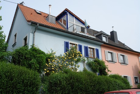 weiden