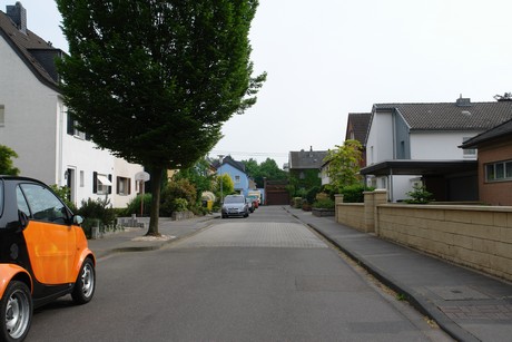 weiden