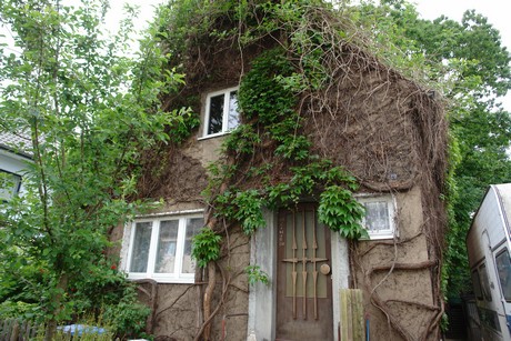 weiden