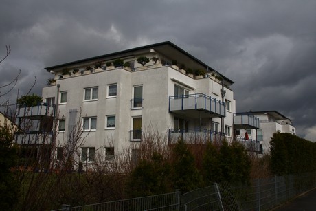 weiden