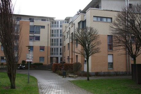 weiden