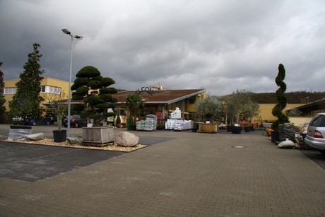 weiden