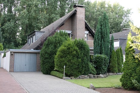 weiden