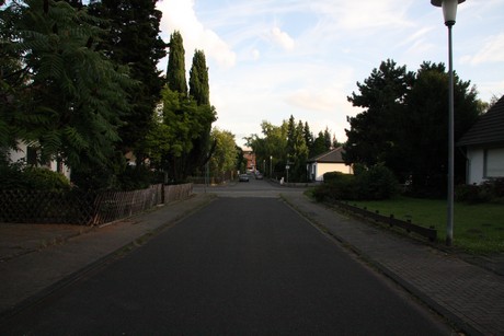 weiden