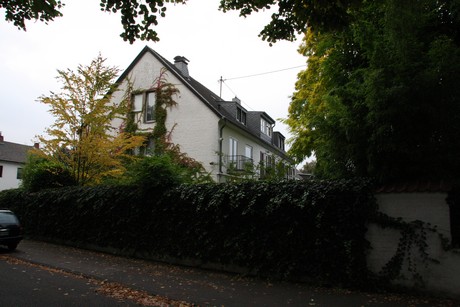 weiden