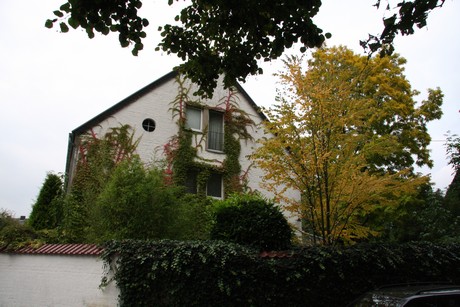 weiden