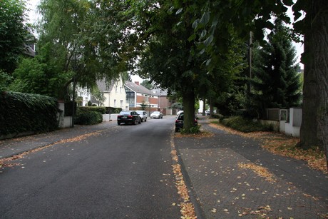 weiden