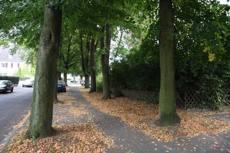 weiden