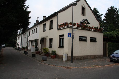 weiden