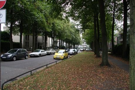 weiden