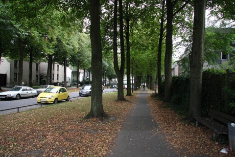 weiden
