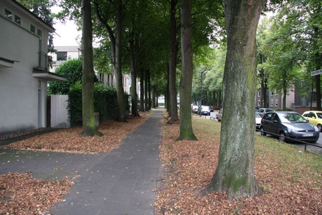 weiden