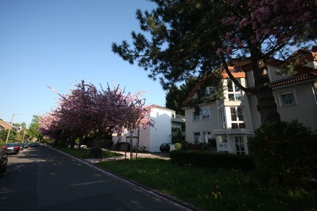 weiden