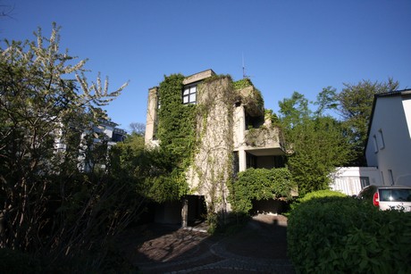weiden