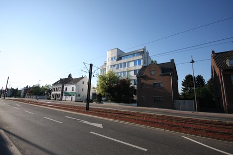 weiden