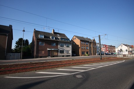 weiden