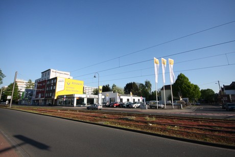 weiden