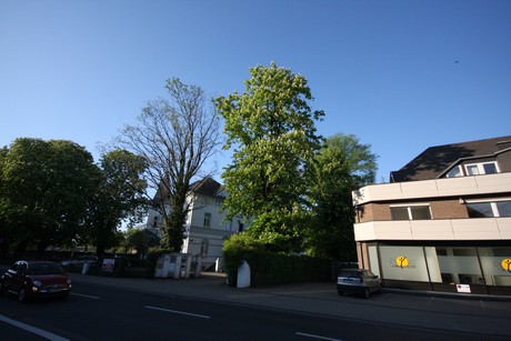 weiden