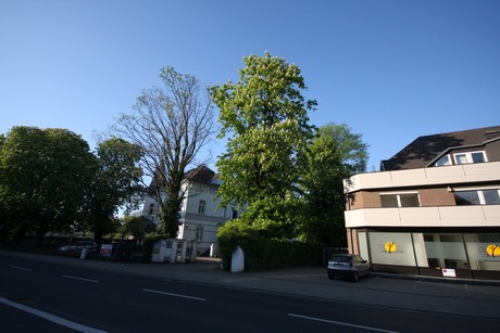 weiden