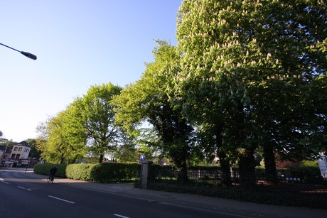 weiden