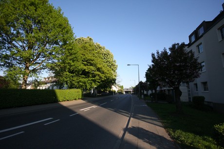 weiden