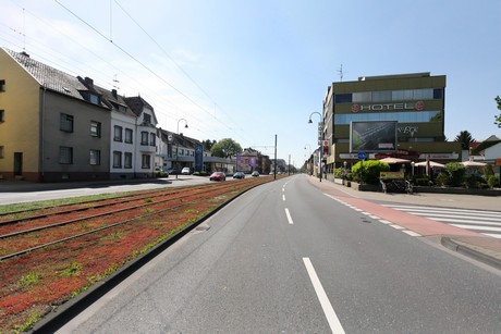 weiden