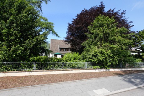 weiden