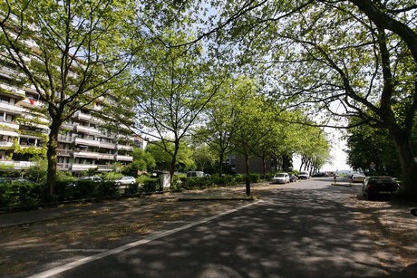 weiden