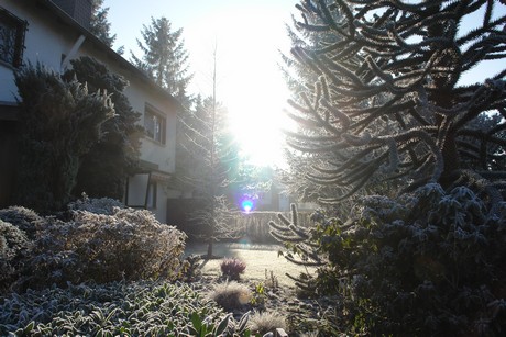 winter