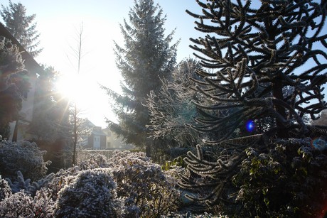 winter